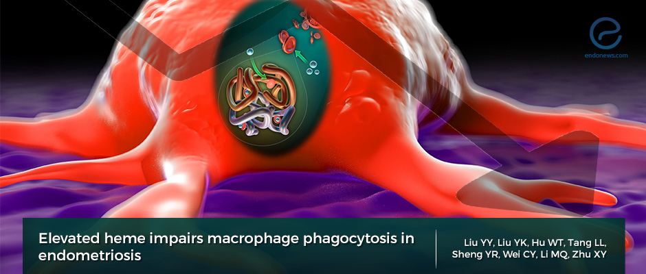 L'hème altère la phagocytose des macrophages